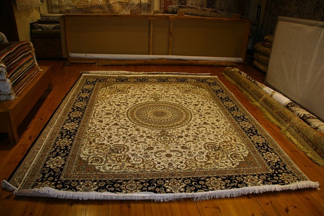 western stytle area rugs